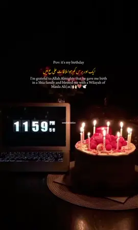Alhumdulillah💗🕊️ #shia #iran #karbala #imamhussain #aashanhaider #whatsappstatus #shiastatus #foryou #viral #fyp #mybirthday 