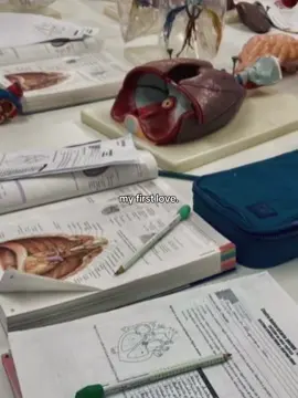 I always love Surgeries:(( #fpyシ #fyp #fypage #doctor #surgeon #fun #sad #dream #dreamjob 