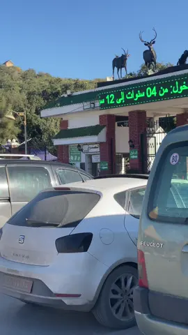 #CapCut #vairal #fyp #حديقة_الحيوانات_جيجل_العوانة_اندرو #jijel_____algér⚡❤ #جيجلية✌️💕💕😘🧚🕊️🍯 #jijel #جواجلة_يبانو_هنا🔥 #الشعب_الصيني_ماله_حل😂😂 