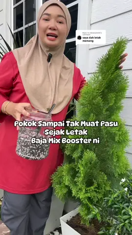 Replying to @mikayla0203 #bajamixboosterkeladi4in1 #bajasubur 