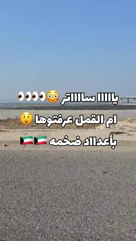 عرفتوا عالنوع من الطير ، اللوه / تصوير العوود بومنوور @alkandari_outdoorq8 