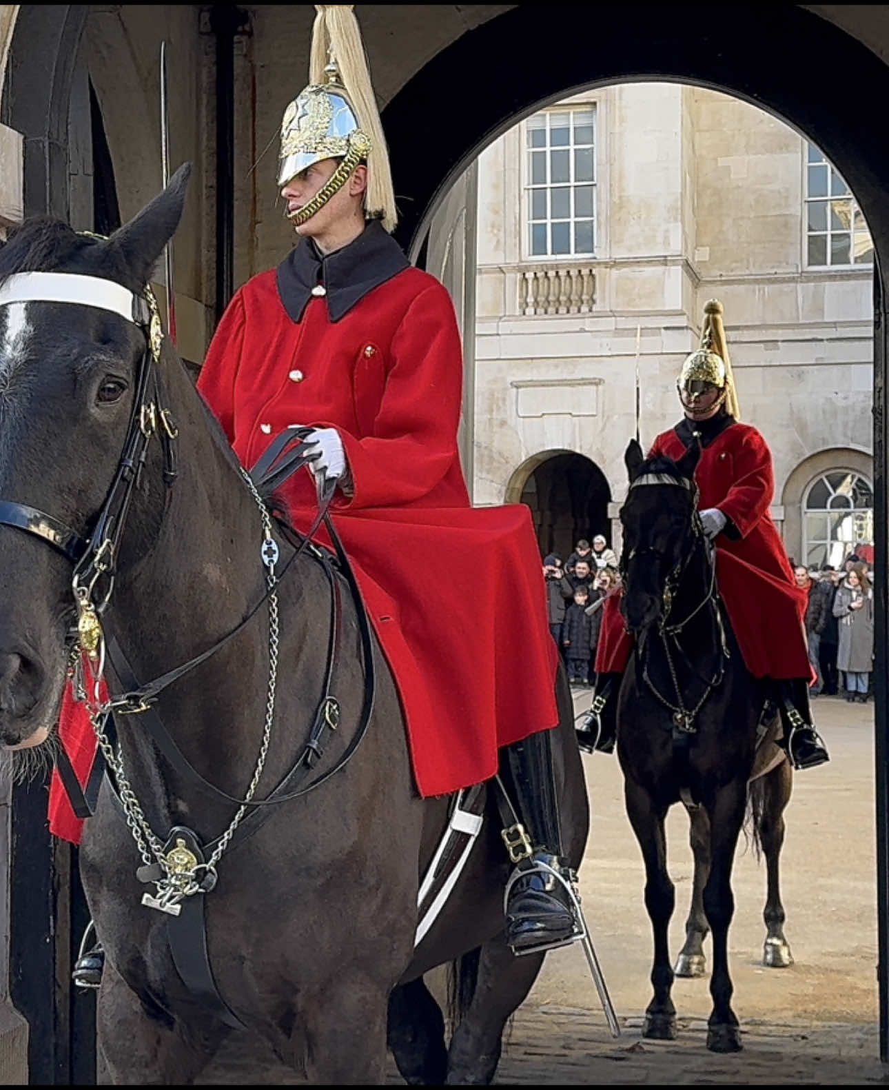 A Royal Spectacle: Tourists and Regal Horses Create a Buzz at Horse Guards!