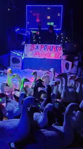 Вероника с днём рождения #деньрождения #tik_tok #реки 