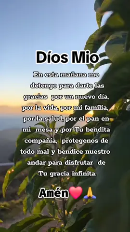 Díos  Mio En esta mañana me  detengo para darte las gracias  por un nuevo día.💖🙌🌞🍃 #oraciondelamañana 🤍🙏🌻🕊