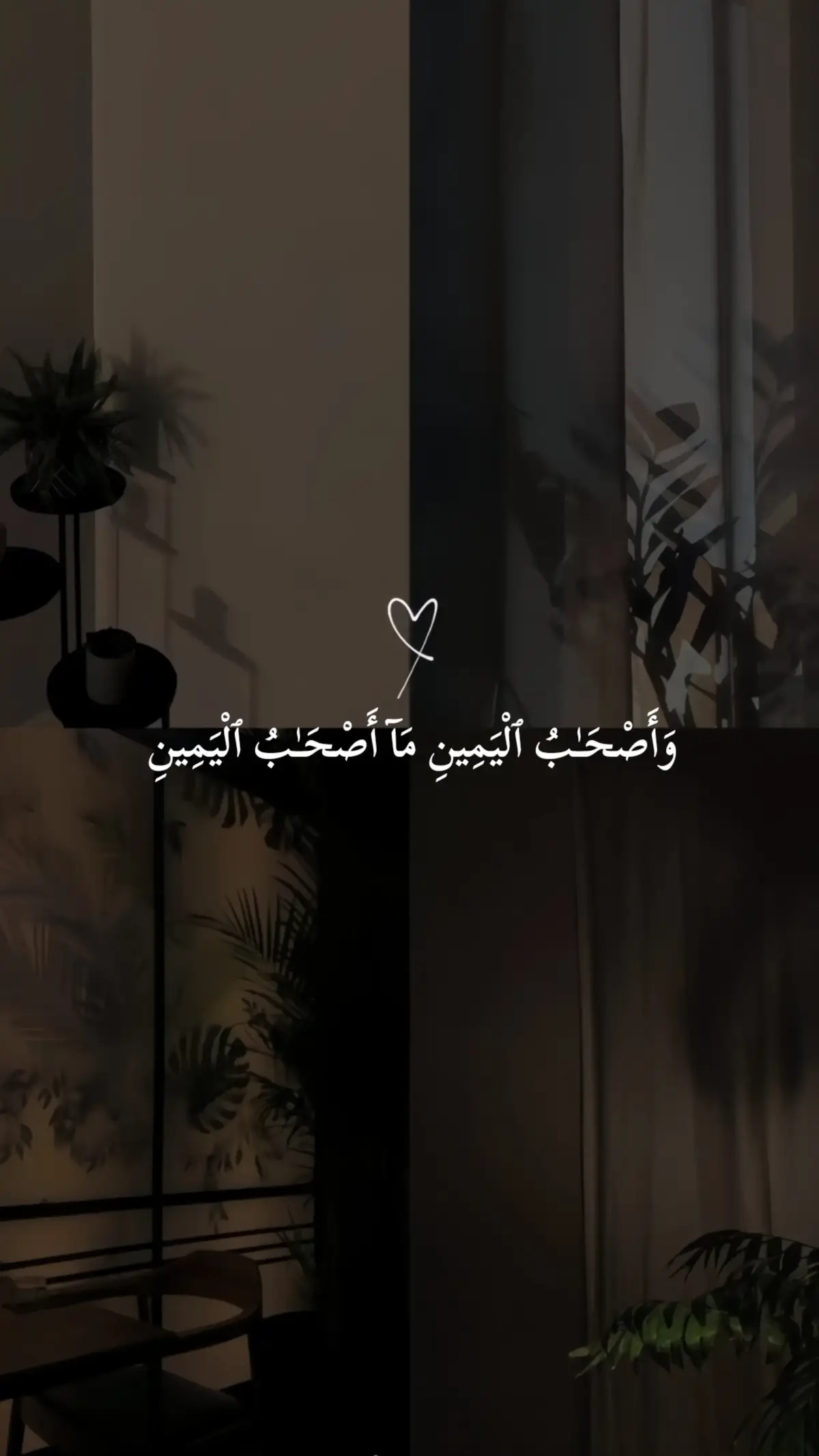 تلاوة خاشعة للقارئ اجزوني ابراهيم 🖤 سورة: الواقعة 🖤 #قران #اجزوني_ابراهيم  #قران_كريم #سورة_الواقعة #quran 