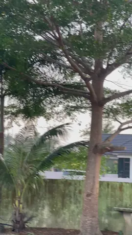 x cleen supo moto sek iii awk🫠#fypシ゚ #4upage #foryoupage #fypシ゚viral🖤tiktok #hondapetakc70 