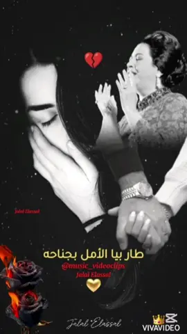 #أم_كلثوم #كان_قربك_هنا_وحنيه_ام_كلثوم #كوكب_الشرق_ام_كلثوم #كلثوميات #أغاني_الزمن_الجميل #طربيات_الزمن_الجميل_🎼🎶🎻♥️🌹 #طرب #sadsong 