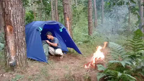 #forest #solocamp #fypage #campingandcooking 
