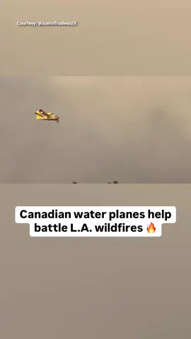 Canadian water-bombing aircrafts are on the frontlines as #wildfires erupt through the Pacific Palisades in Los Angeles, California.