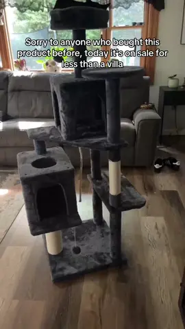 The Best Villa for Cats 🐱 #catsoftiktok #catmom #cats #affordablecattower #cattok #foryoupage #fyp #cute #cutecat