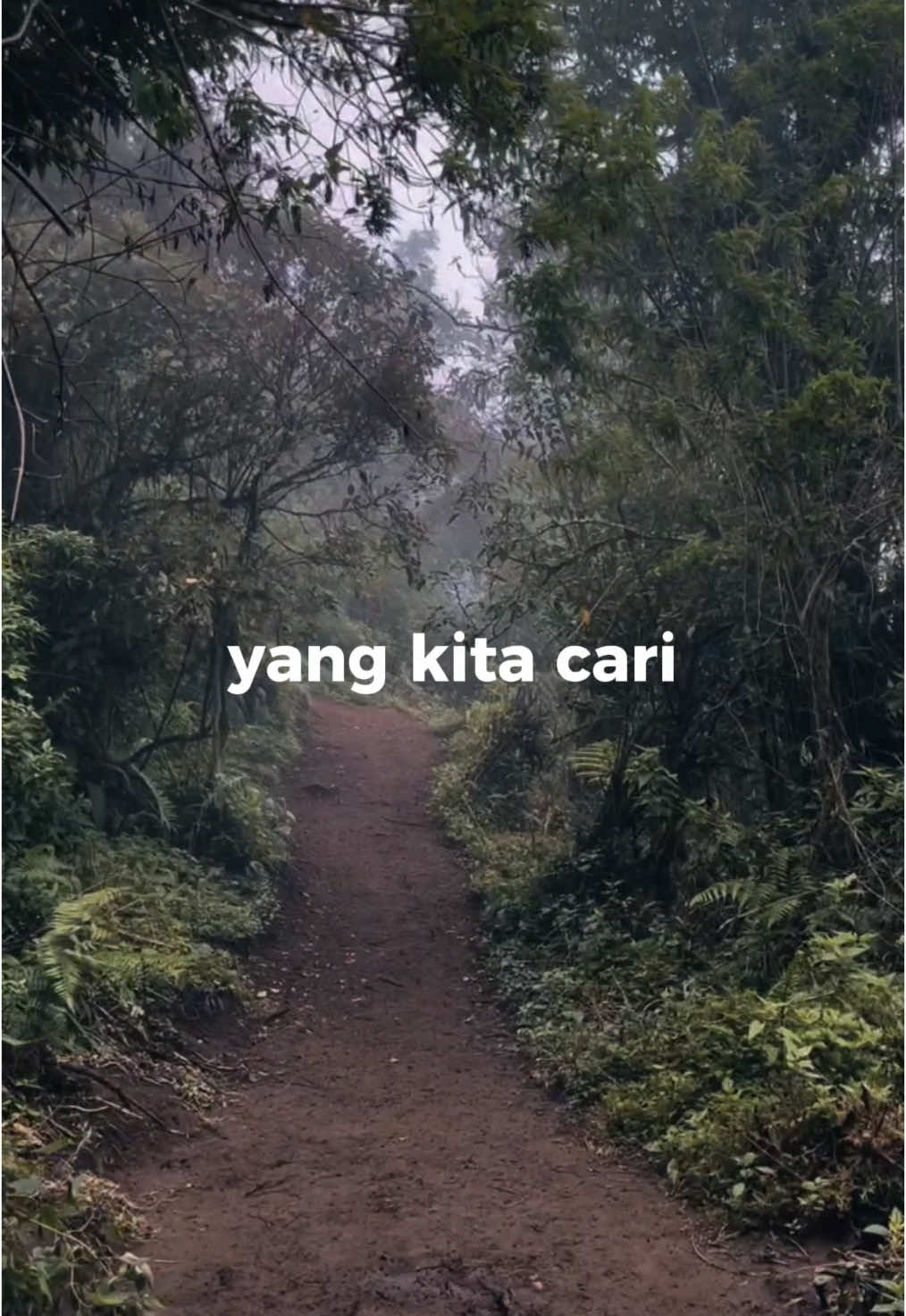 Yang kita cari #fiersabesari #CapCut #pendakigunung #pendakiindonesia 