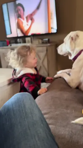 Just another day of Bo and Libs #fyp #dog #toddlersoftiktok #funnyvideo #babylaugh #boymom 