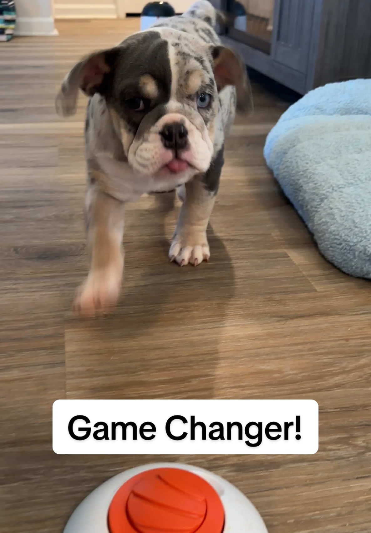 I am probably going to share this every day because it is such a huge help for us with Stormi!