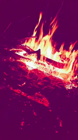 #tiziouzouⵣimazighen💛💚 