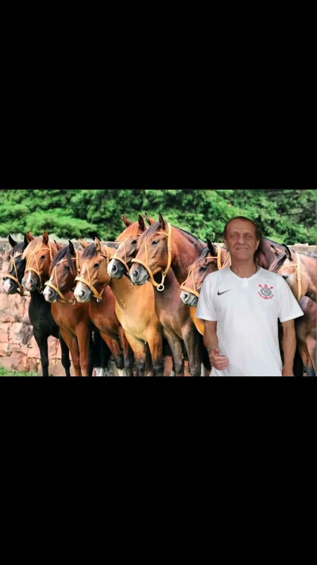 ELE AMA😁 #carlinhosdalvaecavalos #memecarlinhos #fotoscarlinhos #carlinhoscavalos #carlinhosvideos #c