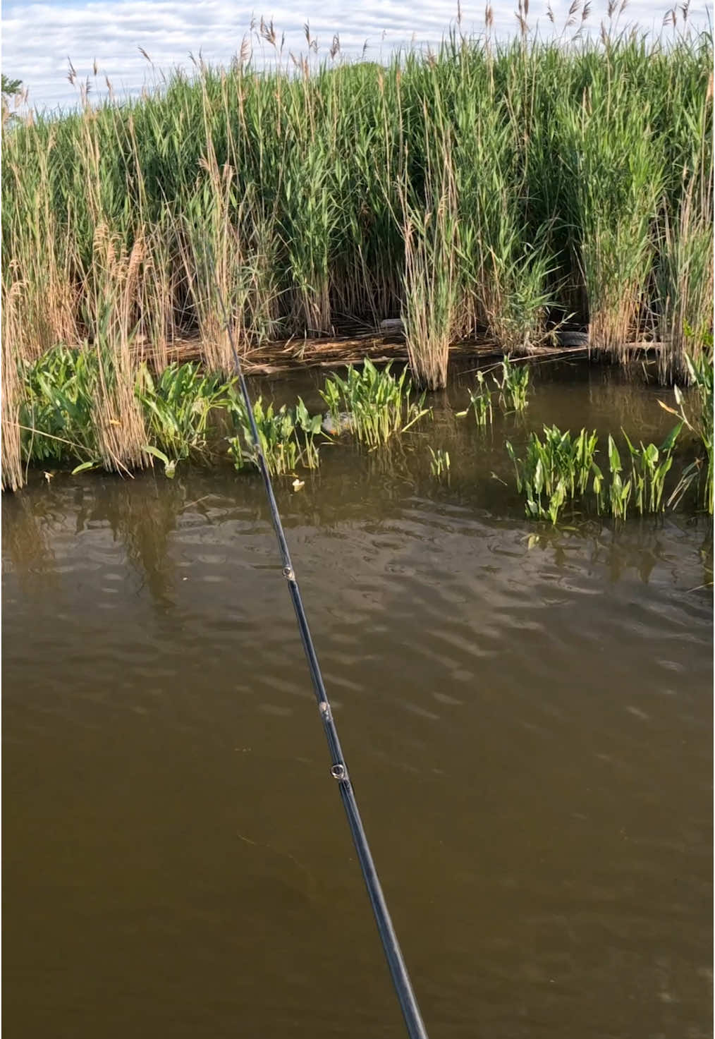 I’m ready to get back into topwater blow up season right about now 😂 #topwater #topwaterblowup #snakehead #bassfishing #fishing #ockayak