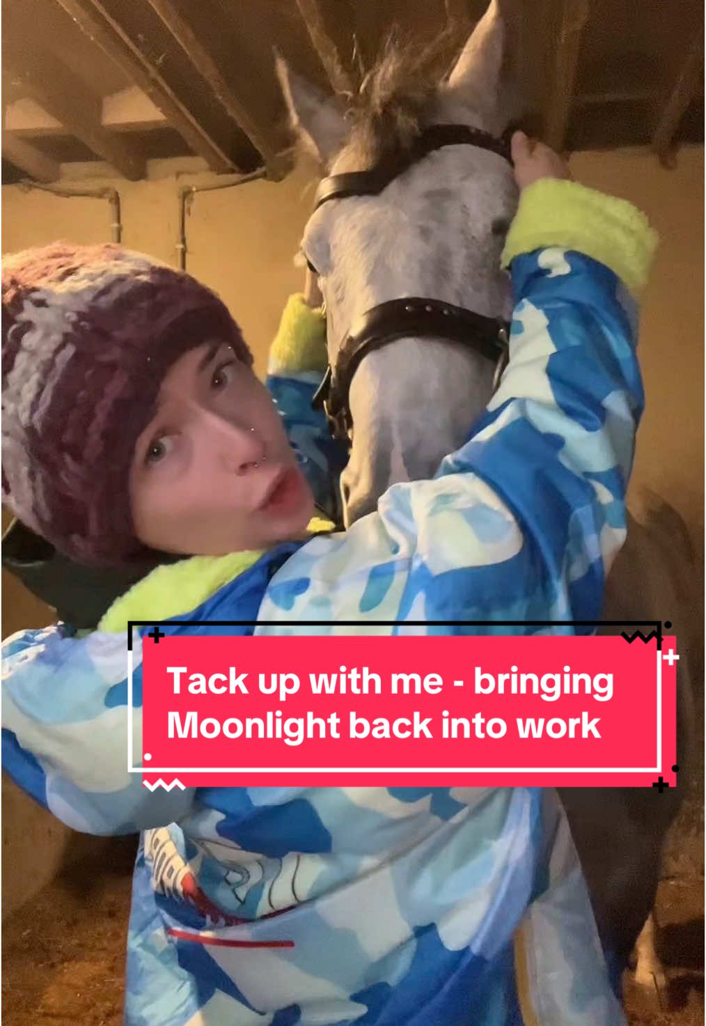 the main character returns.. #tackup #tackupwithme #equestrian #equine #horsegirl #horsetok #horsesoftiktok #horsebackriding #equestrianlife #equestrianvibes #foryou #fyp #abcxyz 