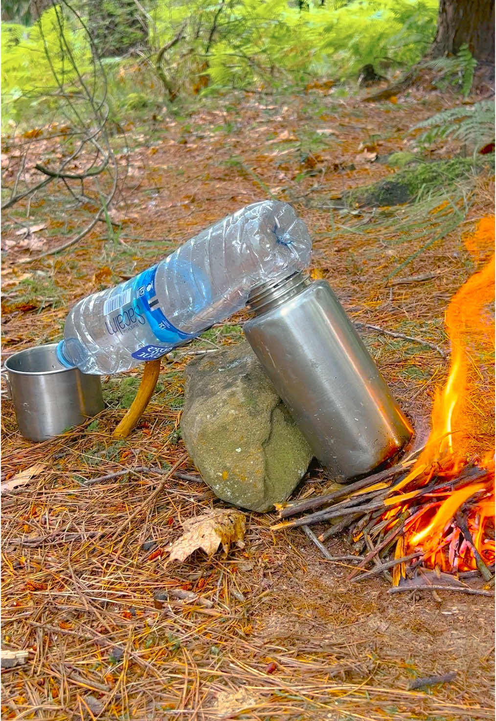 Survival Hack: Dirty Water Distiller For Extreme Conditions #survival #camping #Outdoors #bushcraft 