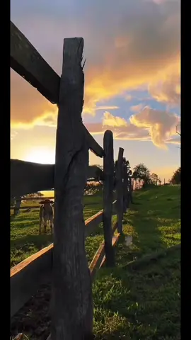 Que###bonitos!!!!son los ranchos?#€