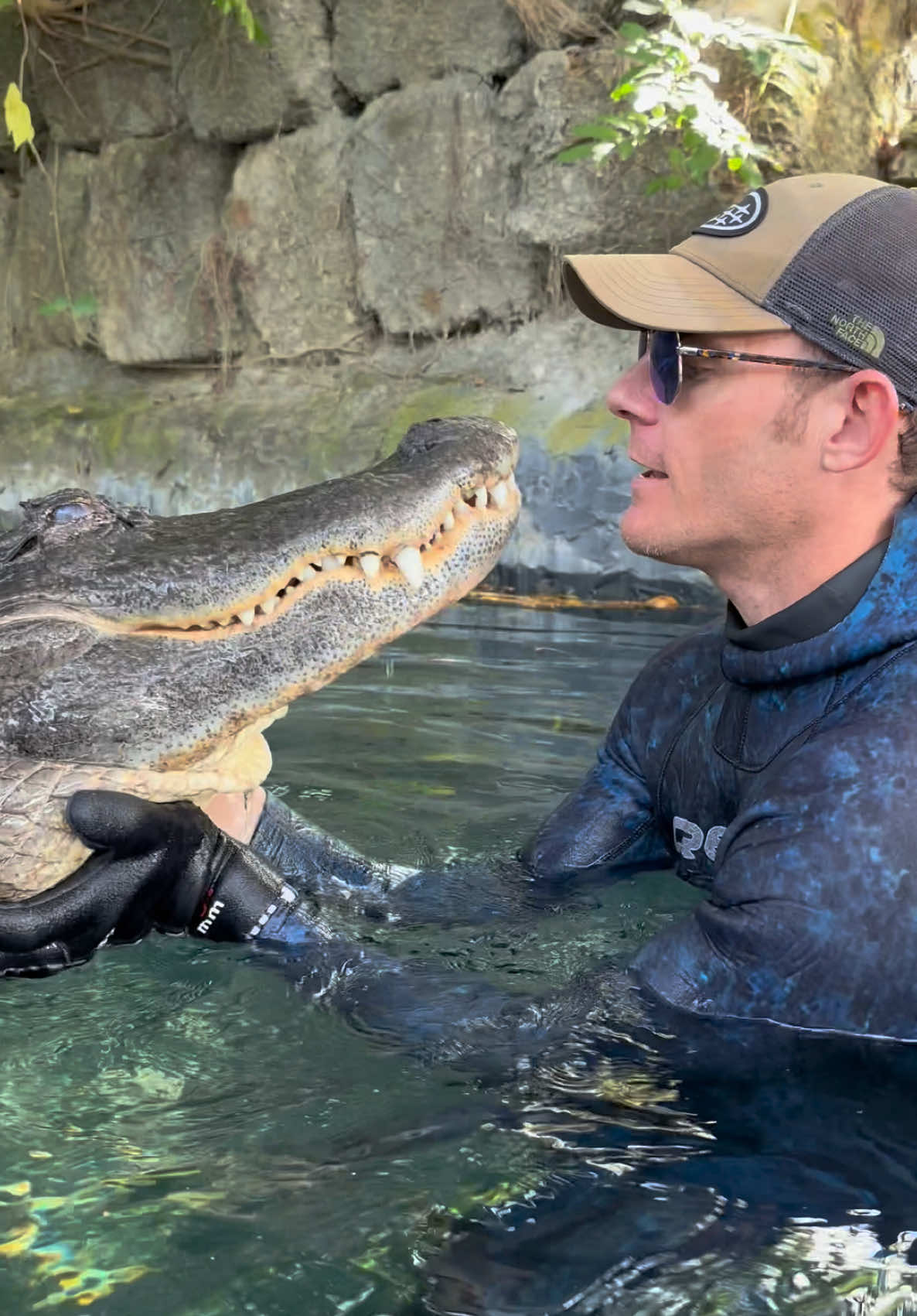“Drop it” doesn’t work with gators the way it does for dogs 😂 This was a while back with Casper the alligator, I worked with him for 17 years!! He’s still down south doing good as far as I know, but now that I have my own sanctuary 6hrs away I don’t make it down much anymore, but I still love him and miss him! At @evergladesoutpost     #Gator #Alligator #animals 