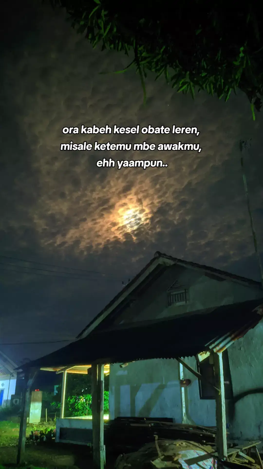 BAHTERA MAHLIGAI CINTA @ajengfebria01  #gerrymahesa #ajengfebria #mahesamusic #mahesaproject #mahesamusicofficial #jawapride #dangdut #dangdutkoplo #bahteramahligaicinta #jowopride #fyp #fypシ゚ #4you #fypage #pageforyou #jowostory #icikipung #zyxbca #storywa #storytime #soundviral #soundfyp #mahesa @gerrymahessa58 