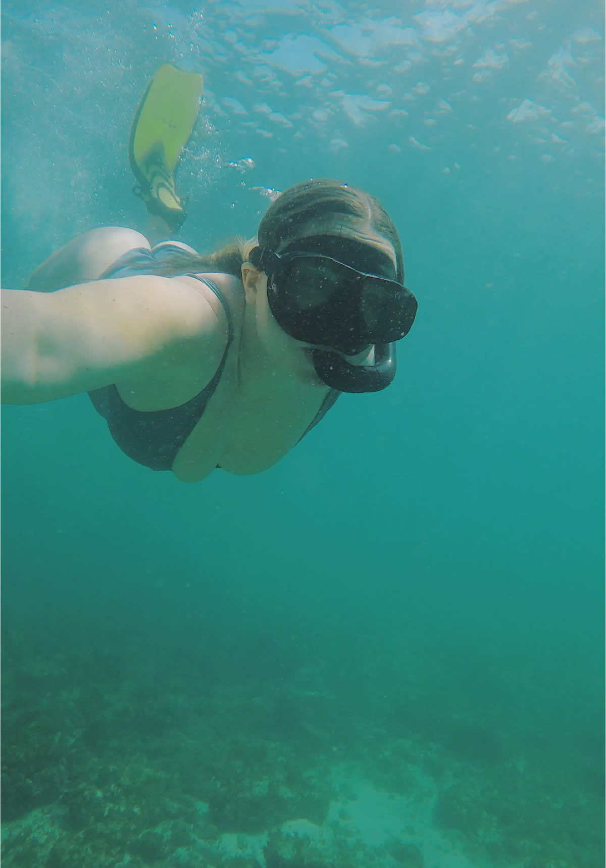 snorkeling in Costa Rica 🫧🐠🪸🧜🏼‍♀️