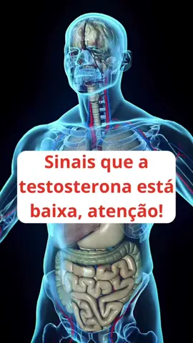 Sinais que a testosterona está baixa, atenção! #saude #bemestar #saudeebemestar #saudedamulher #saudedohomem #testosterona 
