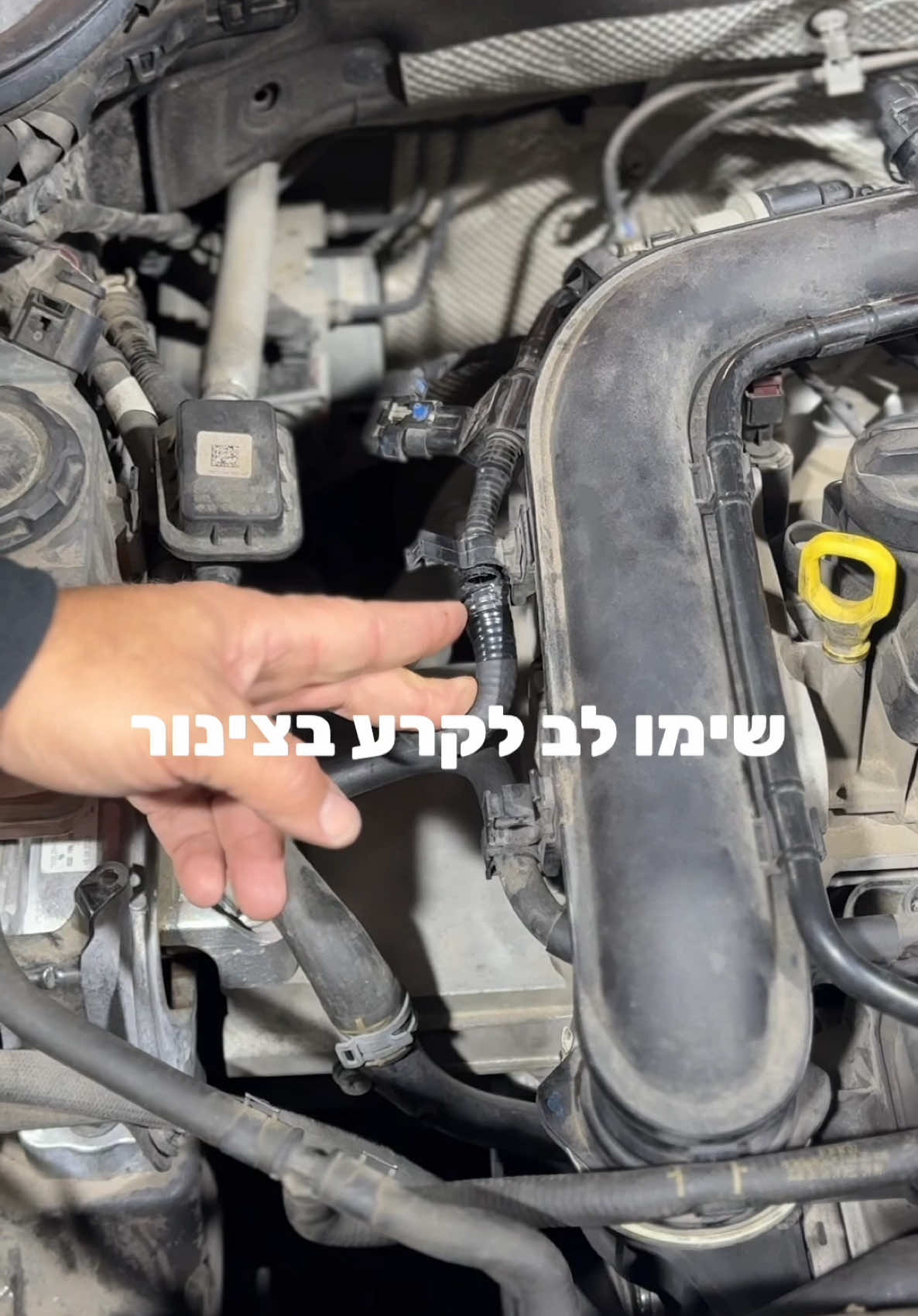 בואו איתנו לתהליך תיקון צינור קניסטר!  #רכב #טיפוללרכב #מוסך #רכבים #skoda #פוריו #פוריו #fyp #גיאמוטורס #guymotors #seat #סקודה #vagband 