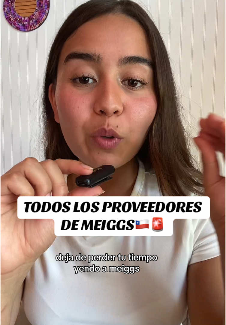 Así vas a vender sin tener que ir a MEIGGS o invertir en stock de productos físicos 🛍️💸 . . . #dropshipping #meiggs #chile #emprendedores #emprende 