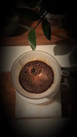 قولو لها تكفون #يوسف_الشافي #your_coffee #بدون_موسيقى 