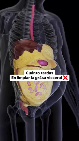 Día 9 del Reto 30 Días Sin Panza 🌟 💥 Infusión mágica para limpiar gras@ visceral y desinflamar 💥 ✨ Ingredientes: 	•	7 ciruelas pasas deshidratadas 🍑 	•	10 g de jengibre sin cáscara 🌿 	•	1 taza de agua 💧 🔥 Preparación: 1️⃣ Hierve el agua con las ciruelas y el jengibre durante 5 minutos. 2️⃣ Deja reposar un poco y tómala antes de dormir 🌙. 🌟 ¡Empieza a sentir los resultados! 👉 Para más info del reto completo, visita el link en mi perfil. 💪 . . . . #ciruelaspasas #jengibre #te 