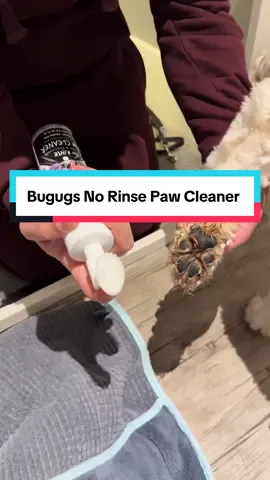 This is a winter essential for anyone with a dog no rise paw cleanser highly recommend it from @Bugalugs Pet Care  #TikTokMadeMeBuyIt #DealDrops #fyp #norinsepawcleaner #pawcleaner #dogs #dogsoftiktok #paws #winteressentials #bugalugs #bugalugspetcare #bugalugspawcleaner #dogtok #doglove #snow #muddypaws 