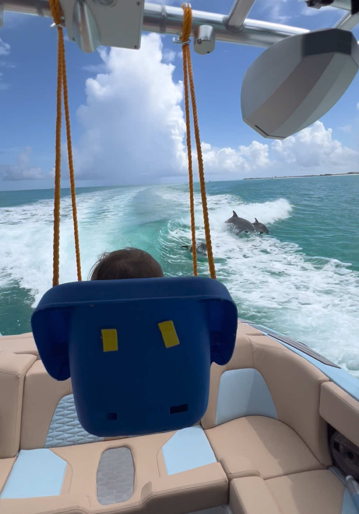 Best seat on the boat! 🏄‍♂️😎🐬 #turksandcaicos #turks #wakesurfing #paradise #fyp #dolphin #baby 