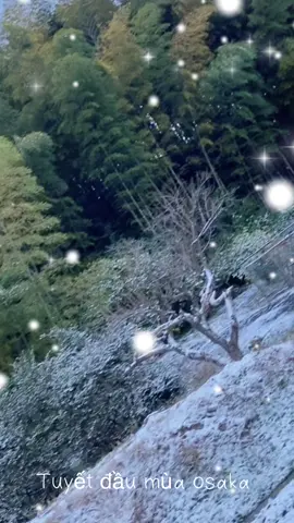 #xuhuong #taisinh #tuyết #osaka  Sáng đi làm tranh thủ ngắm tuyết @PhiChu8889 