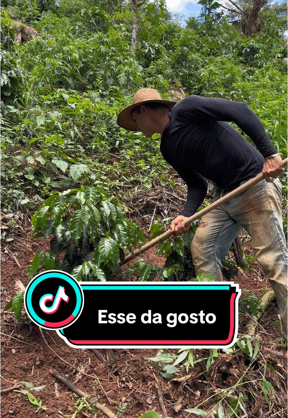 Limpando o mato do café #roça #capina #café 