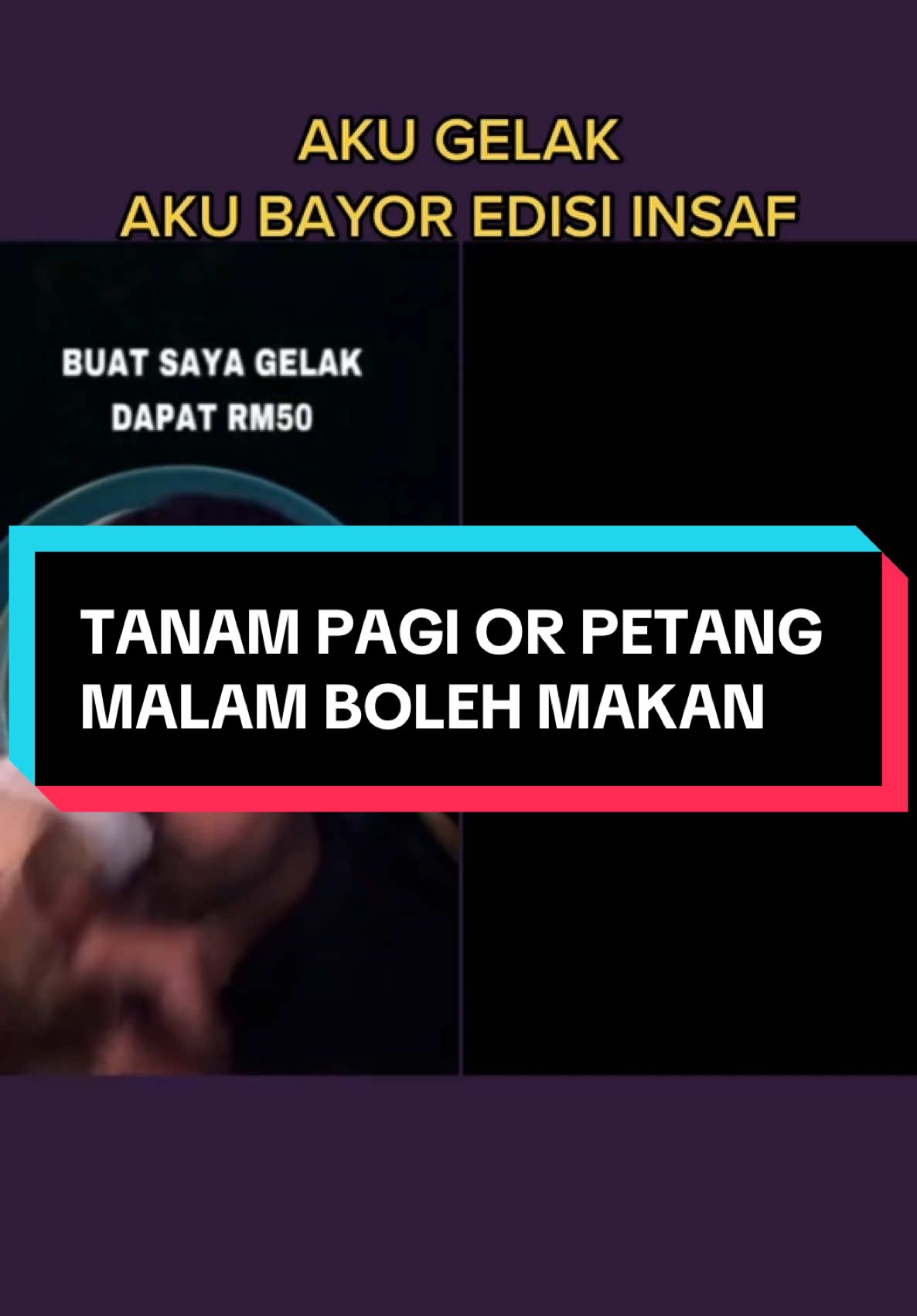 Papi next door - tanam pagi or petang malam boleh makan #sakapapi #tiktoklive #THEPAYUNG #akugelakakubayor #PODCAST #sakapapiempire #papinextdoor #reviewmakanan #REVIEW #sakapapiagency 
