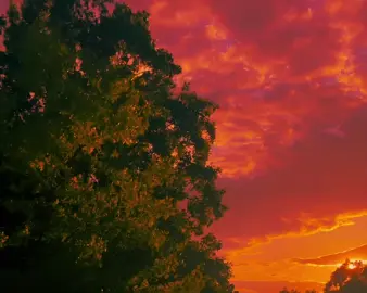 A Dream  Video post cards created on iPhone during golden hour 