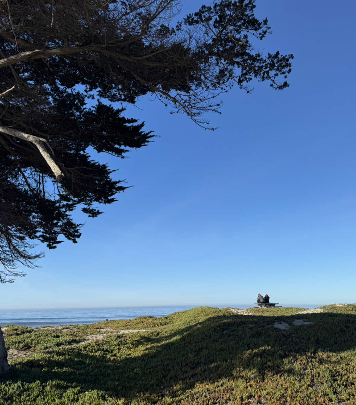 perks of working in Ventura #lunchbreak 😋