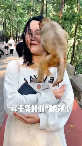#tiktok #monkey #foryou 