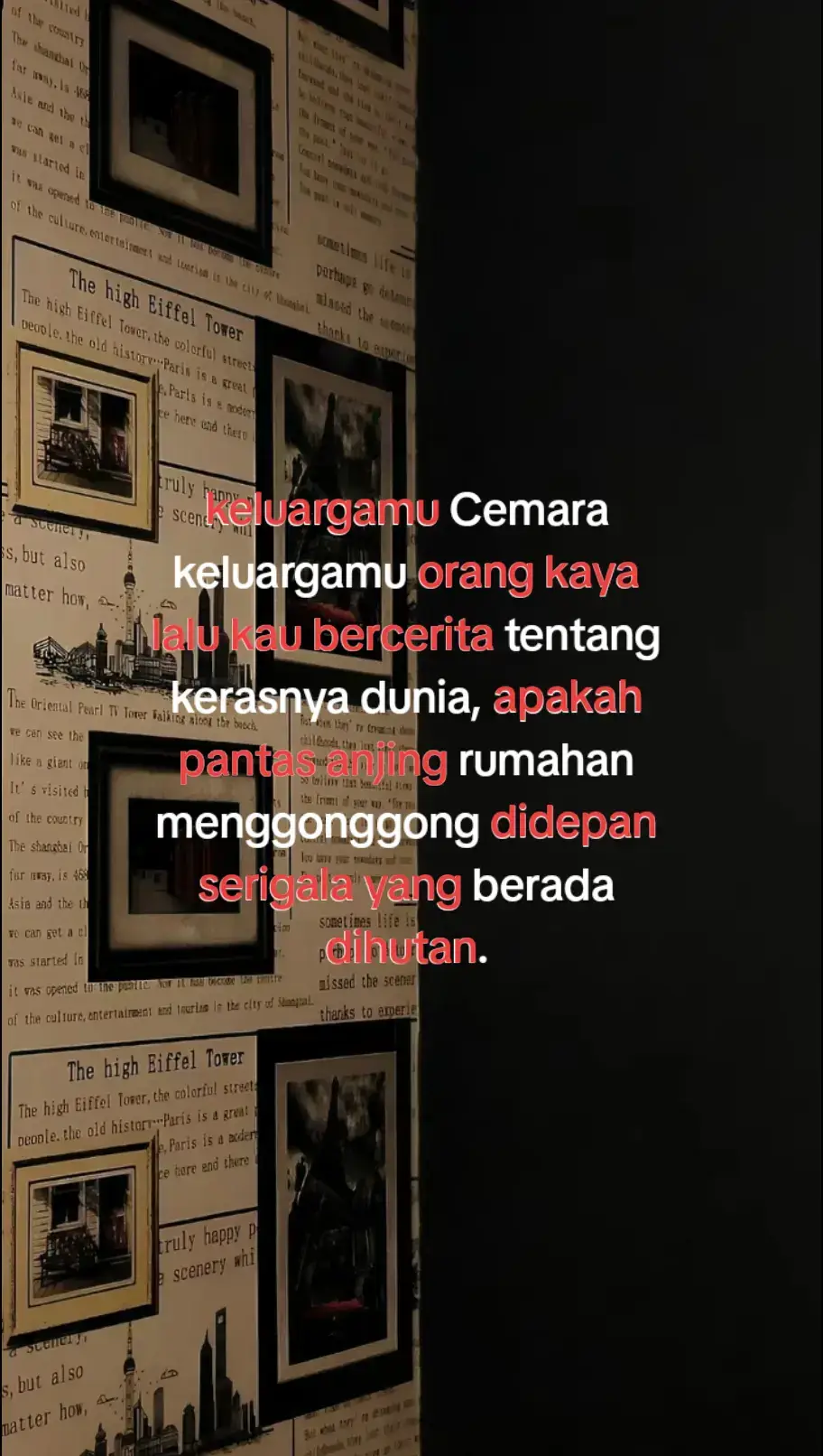 #fyp #xyzbca