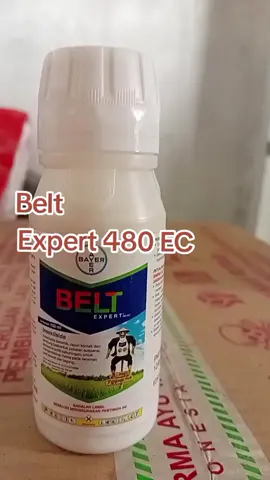 belt expert 480ec insektisida sistemik racun kontak dan lambung berbentuk pekatan suspensi berwarna putih kekuningan untuk mengendalikan hama pada tanaman padi sawah dan jagung#bayer#belt expert#solusipetanicerdas #petaniindonesia🇮🇩🇮🇩🇮🇩🌿🌿 