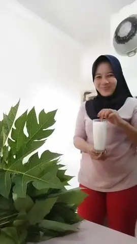 #fyp#waktunya sarapan pagi bossquu sambil masak lalaban hasil nebang tadi 😀😋