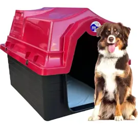 Casinha Plástica p/ Cachorro Numero 5 + Colchão #casinhadecachorro  #amorde4patas  #dog  Link nos Comentários 🐾🐶