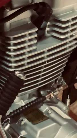 🫶🦆#صاحب_البرنسيسه 