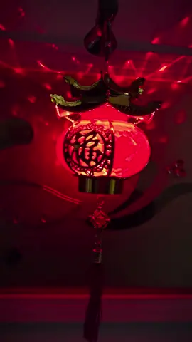 Đèn lồng trang trí tết 2025 #denlongtet #dentrangtritet #xuhuong 