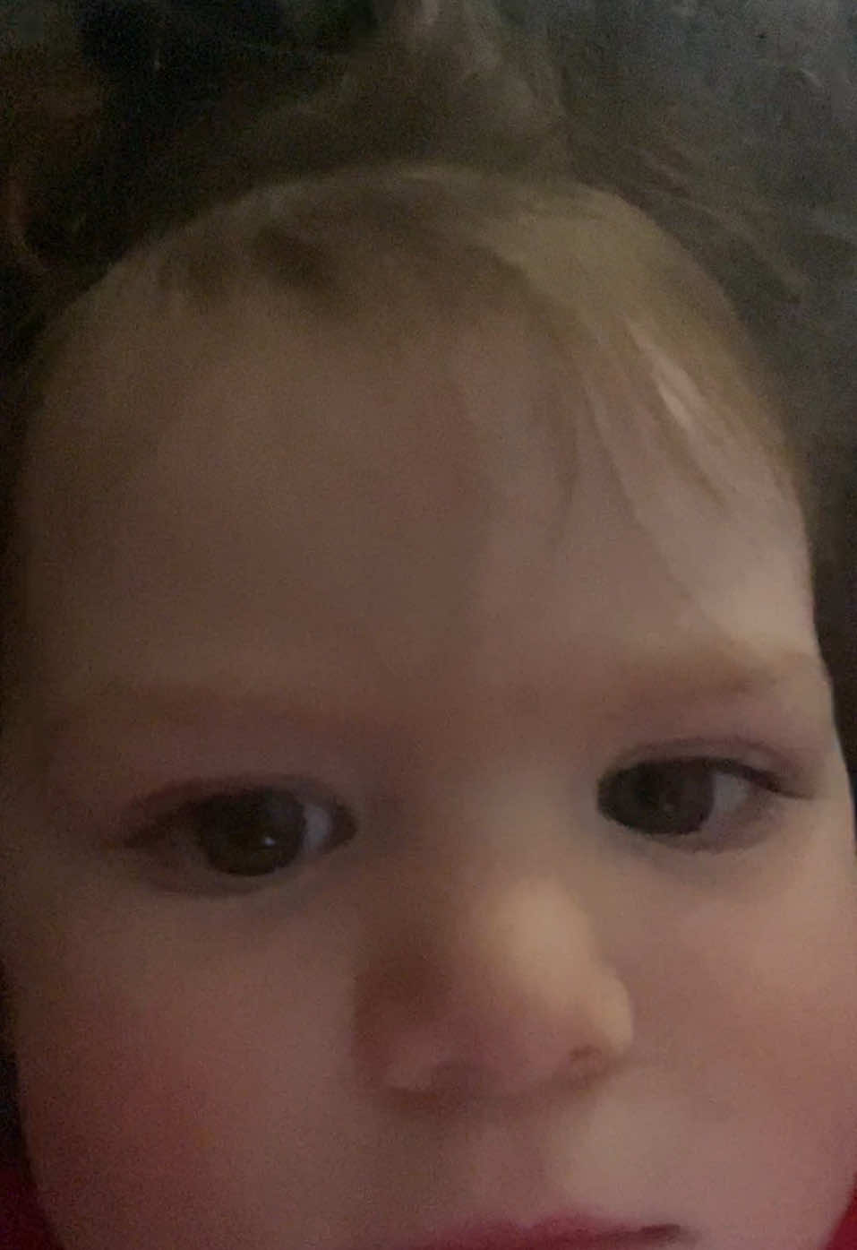 Brookie’s Blog 🙏🏼 #fyp #foryoupage #brookiesblog #haileyrose 