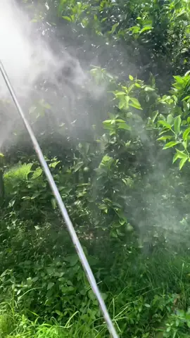 Umume wong lanang rakeduman bedil✌🏽#petanimilenial #putratani #jeruksiemmadumalang #jerukmalang #jerukmalangraya #fyppppppppppppppppppppppp #fypage #masukberanda #jumaatberkah 