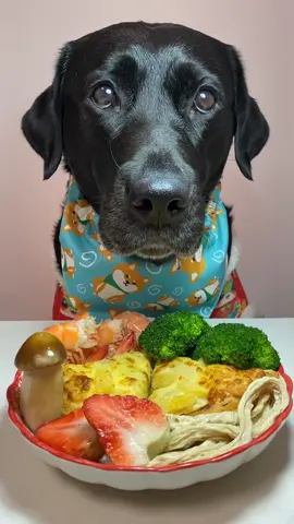 I’m not late today ~ Guess what the pizza is #Labrador  it’s so fragrant #cute pet debut plan #dog #eating #fyp 