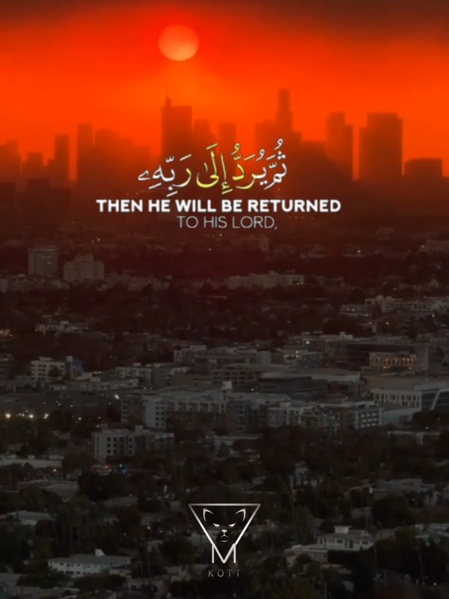حرائق الغابات في لوس أنجلوس  #losangeles #لوسانجلس #حريق 