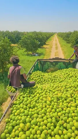 #اللهم_احفظ_السودان_واهله  #🤲🤲🤲🤲🤲🤲🤲🤲🤲🤲🤲🤲🤲🤲🤲 #نهر_النيل_شندي_العالياب_الزيداب_الدامر #الشوق_للبلد😭😭😭😭😭😭😭😭 #الشعب_الصيني_ماله_حل😂😂 #السودان_مشاهير_تيك_توك 